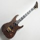 Jackson MJ Series Dinky DK Burl Mahogany Dark Mocha ���쥭������ 3.14kg Made in Japan�ҥ��㥯�����