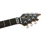 EVH Limited Edition Wolfgang Special Striped Series, Ebony Fingerboard, Distressed Ivory ���ǥ��������󡦥إ���� ���쥭������