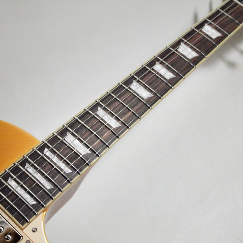 EDWARDS E-LP-STD Gold Top ���쥭�������ҥ��ɥ����