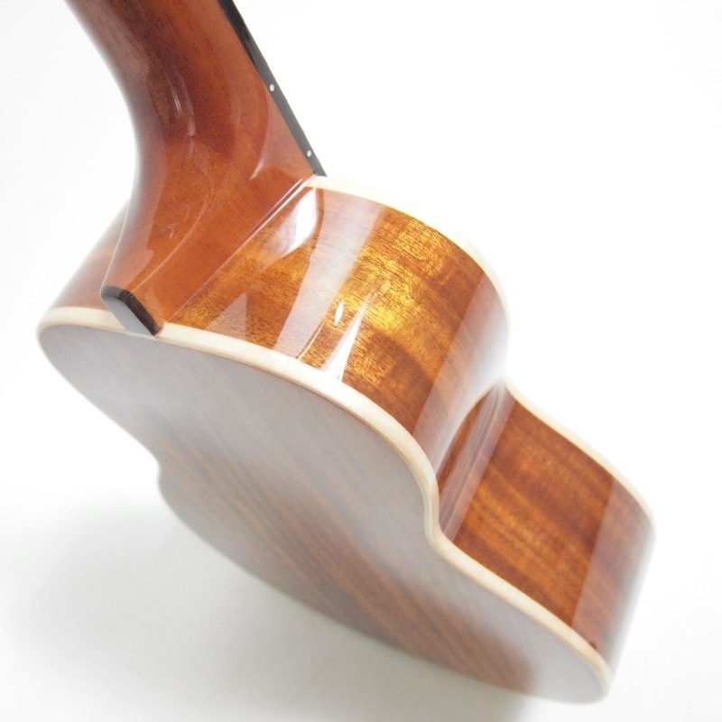 ʪ̿ aNueNue aNN-AAA1 Taiwan Acacia ץΥ(̥̥)