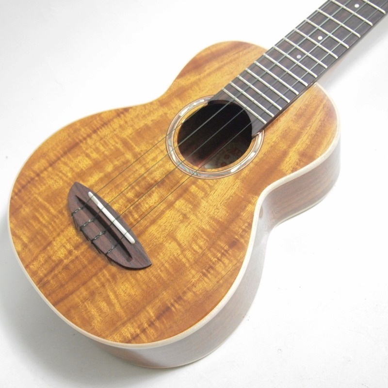 ʪ̿ aNueNue aNN-AAA1 Taiwan Acacia ץΥ(̥̥)