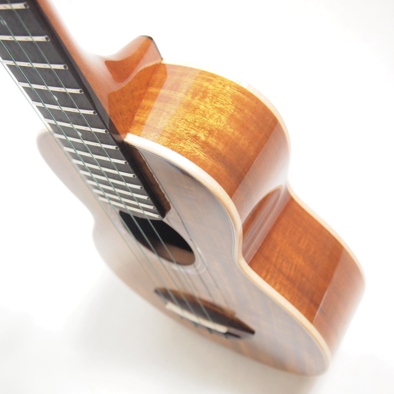 ��ʪ�̿� aNueNue aNN-AAA1 Taiwan Acacia ���ץ�Υ������ ���̥��̥�