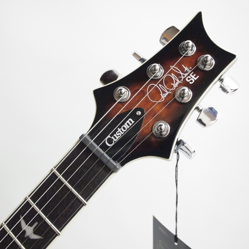 ☆美品 希少セミホロウ PRS SE Custom22 Semi-Hollow PRS SE Custom 22