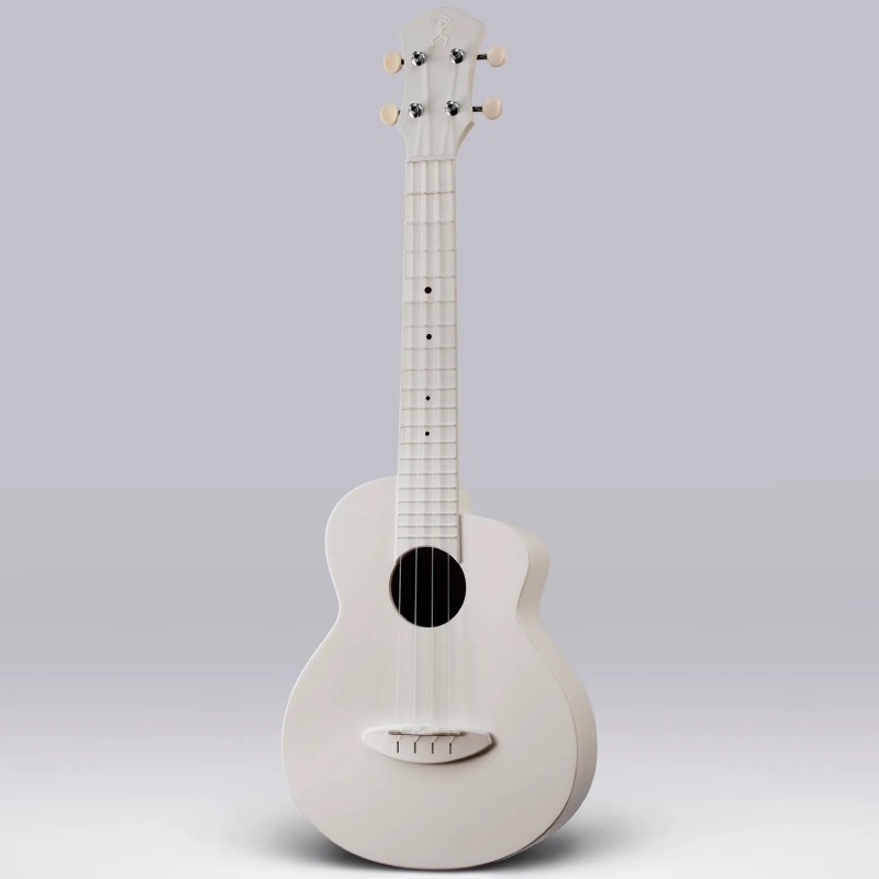 aNueNue Lyra LFG-WG Warm Grey �ե����С����饹 ���󥵡��ȥ������ҥ��̥��̥���