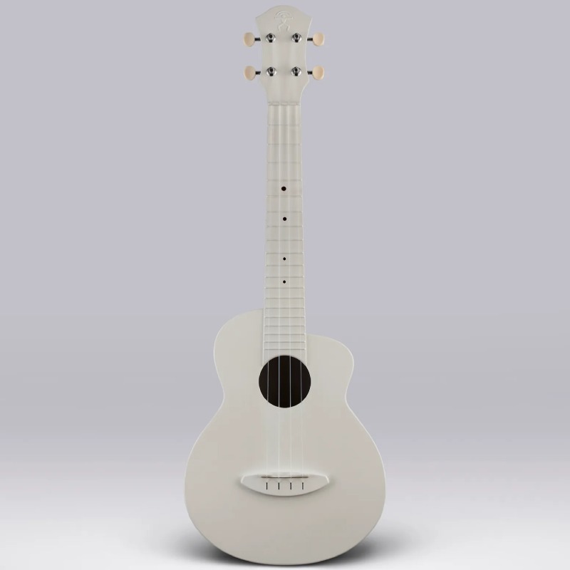 aNueNue Lyra LFG-WG Warm Grey �ե����С����饹 ���󥵡��ȥ������ҥ��̥��̥���