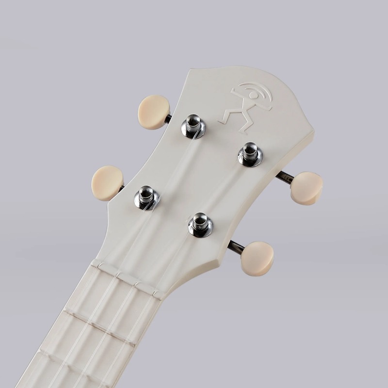 aNueNue Lyra LFG-WG Warm Grey �ե����С����饹 ���󥵡��ȥ������ҥ��̥��̥���