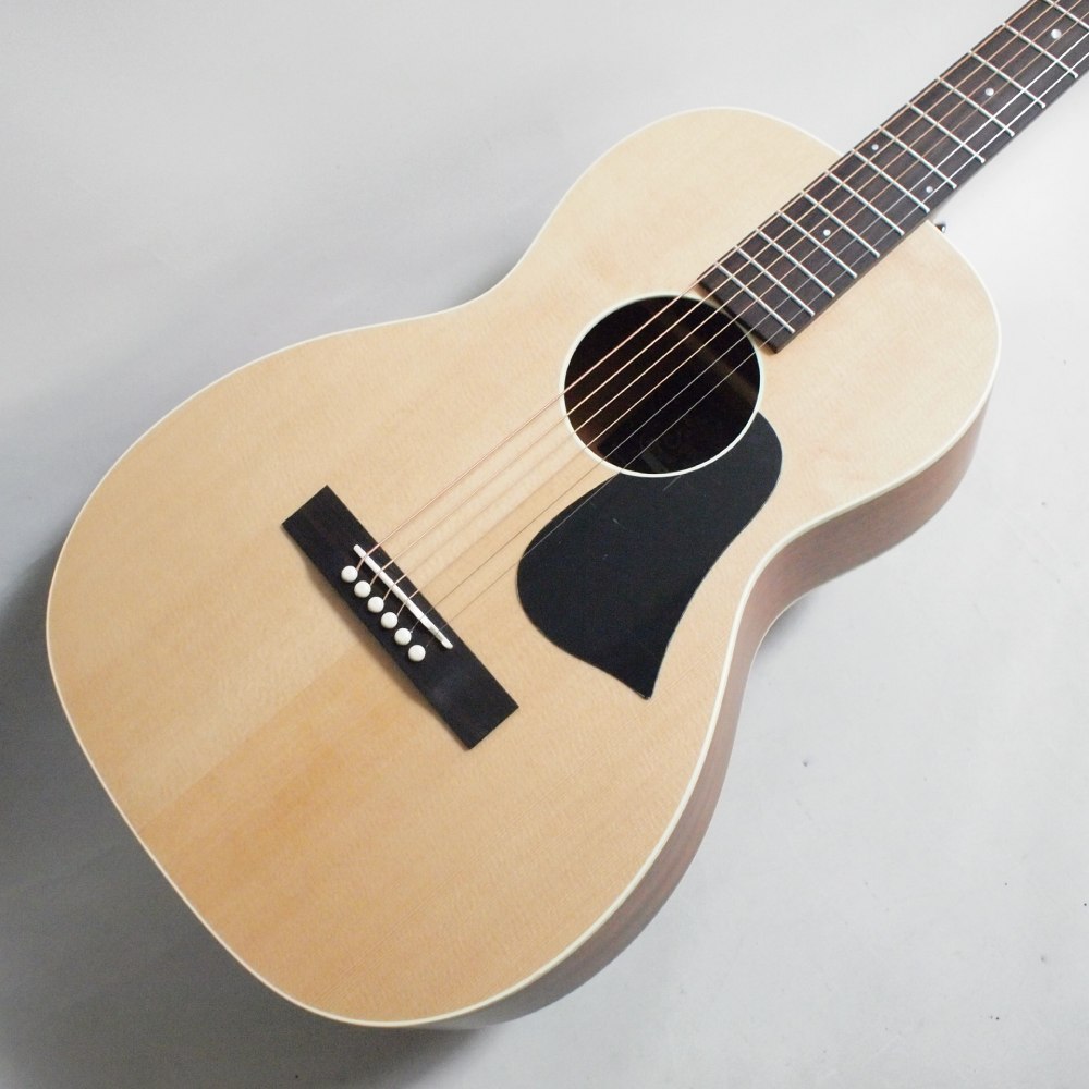 Singer Acoustic Imagine Series P01 ���������ƥ��å��������ҥ��󥬡���
