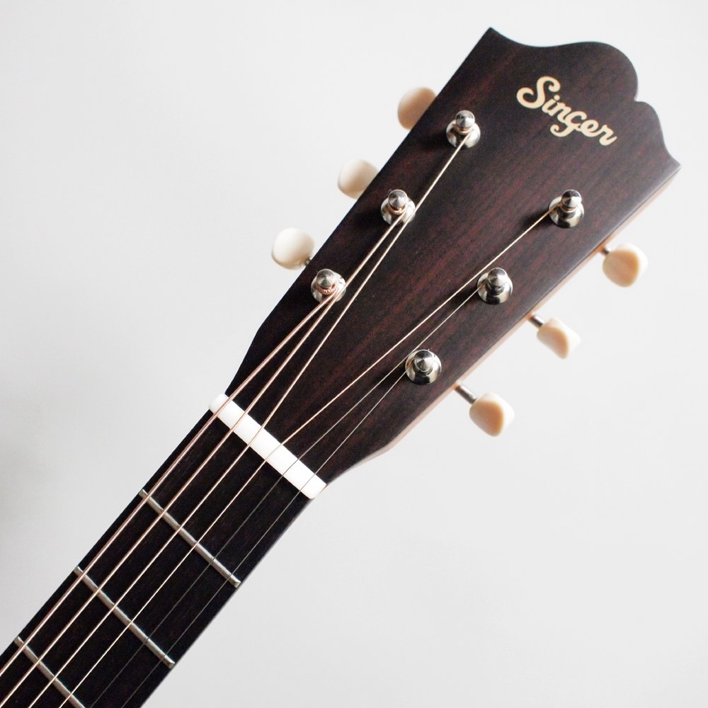 Singer Acoustic Imagine Series P01 ���������ƥ��å��������ҥ��󥬡���