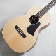 Singer Acoustic Imagine Series P01 ���������ƥ��å��������ҥ��󥬡���