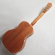 Singer Acoustic Imagine Series P01 ���������ƥ��å��������ҥ��󥬡���