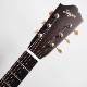 Singer Acoustic Imagine Series P01 ���������ƥ��å��������ҥ��󥬡���