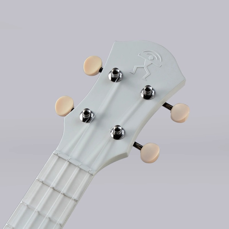 aNueNue Lyra LFG-CG Cool Gray �ե����С����饹 ���󥵡��ȥ������ҥ��̥��̥���