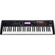 KORG KROSS2-61-DB Dark Blue ���󥻥������� ���ѥ������դ� ���륰