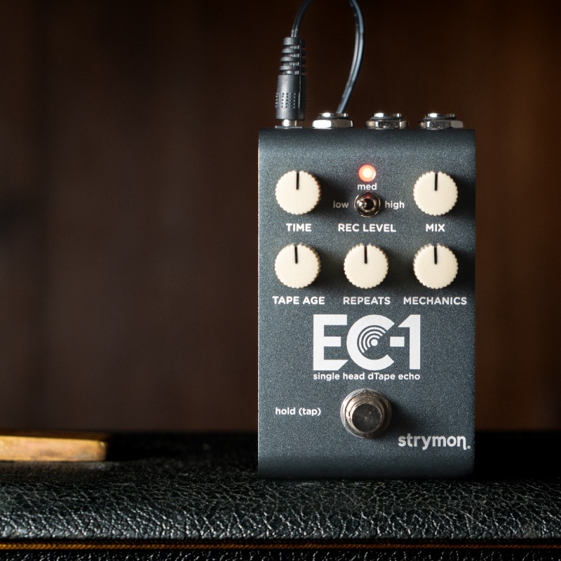 strymon EC-1�ʥ��ƥ쥪 �ơ��� �������ˡҥ��ȥ饤����