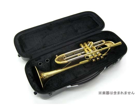 GL CASES/�ȥ��ڥå��ѥ����� GLK-TRU��S)