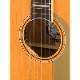 Fender Palomino Vintage, Ovangkol Fingerboard, Gold Pickguard, Aged Natural 쥢ҥե