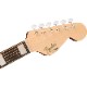 Fender Palomino Vintage, Ovangkol Fingerboard, Gold Pickguard, Aged Natural 쥢ҥե