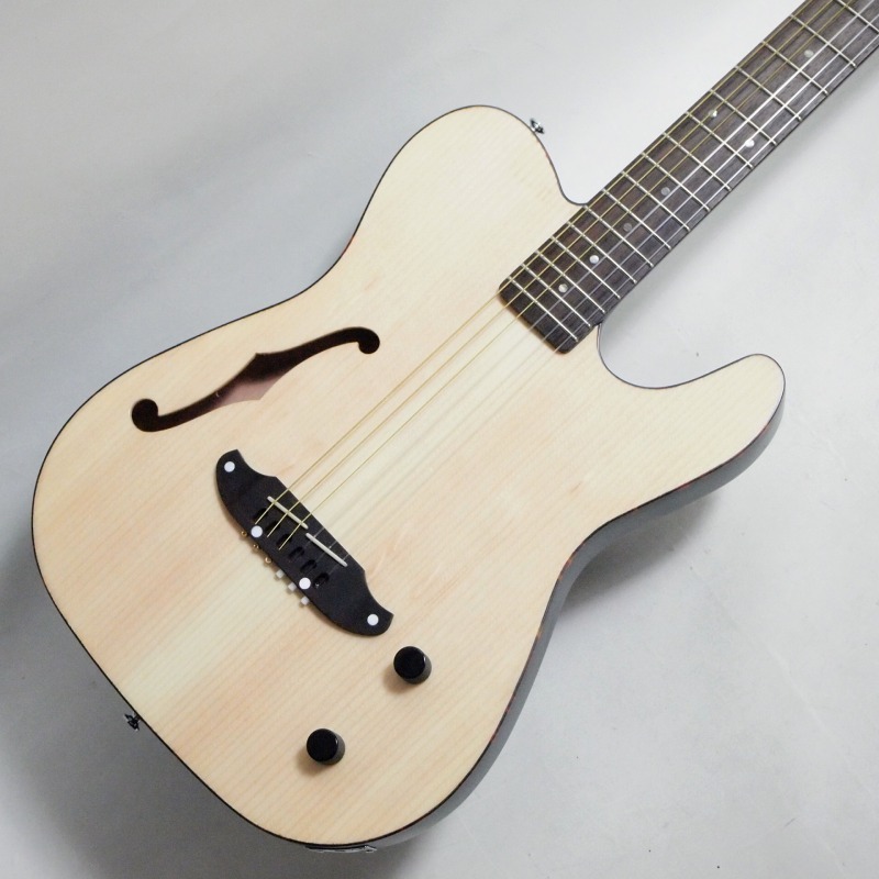 SCHECTER OL-FL-N-P/SNTL エレガット〈シェクター〉 | Electric