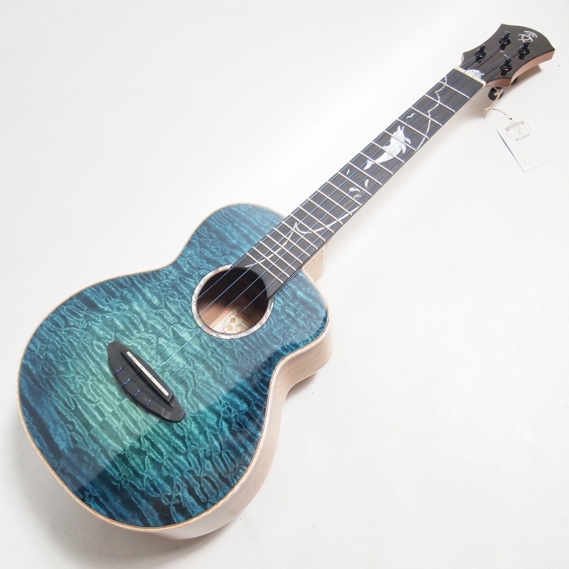 ��ʪ�̿� aNN-Dolphin 2025 III �ƥʡ�������� aNueNue �� Shimo Guitars Collaboration Limited Model ���̥��̥�