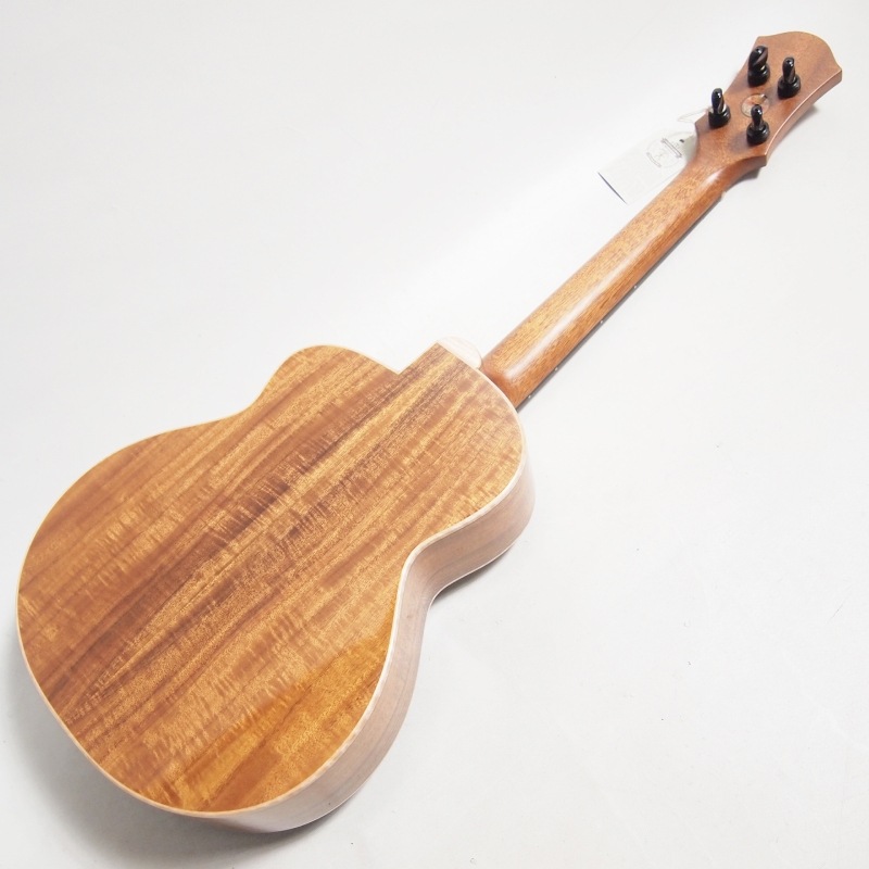 ��ʪ�̿� aNN-Dolphin 2025 III �ƥʡ�������� aNueNue �� Shimo Guitars Collaboration Limited Model ���̥��̥�