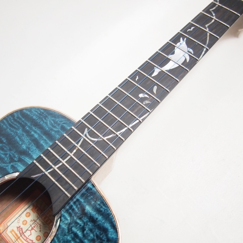 ��ʪ�̿� aNN-Dolphin 2025 III �ƥʡ�������� aNueNue �� Shimo Guitars Collaboration Limited Model ���̥��̥�
