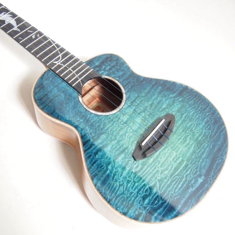 ��ʪ�̿� aNN-Dolphin 2025 III �ƥʡ�������� aNueNue �� Shimo Guitars Collaboration Limited Model ���̥��̥�
