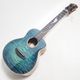 ��ʪ�̿� aNN-Dolphin 2025 III �ƥʡ�������� aNueNue �� Shimo Guitars Collaboration Limited Model ���̥��̥�