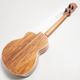 ��ʪ�̿� aNN-Dolphin 2025 III �ƥʡ�������� aNueNue �� Shimo Guitars Collaboration Limited Model ���̥��̥�