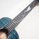 ��ʪ�̿� aNN-Dolphin 2025 III �ƥʡ�������� aNueNue �� Shimo Guitars Collaboration Limited Model ���̥��̥�