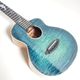 ��ʪ�̿� aNN-Dolphin 2025 III �ƥʡ�������� aNueNue �� Shimo Guitars Collaboration Limited Model ���̥��̥�