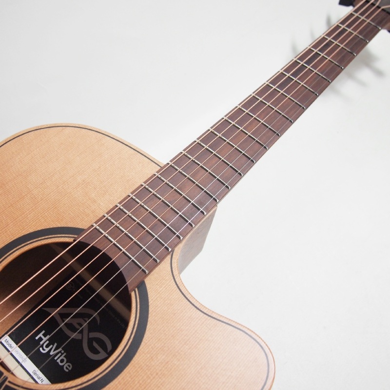 LAG Guitars HV10ACE HyVibe10���꡼�� �饰����������