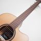 LAG Guitars HV10ACE HyVibe10���꡼�� �饰����������