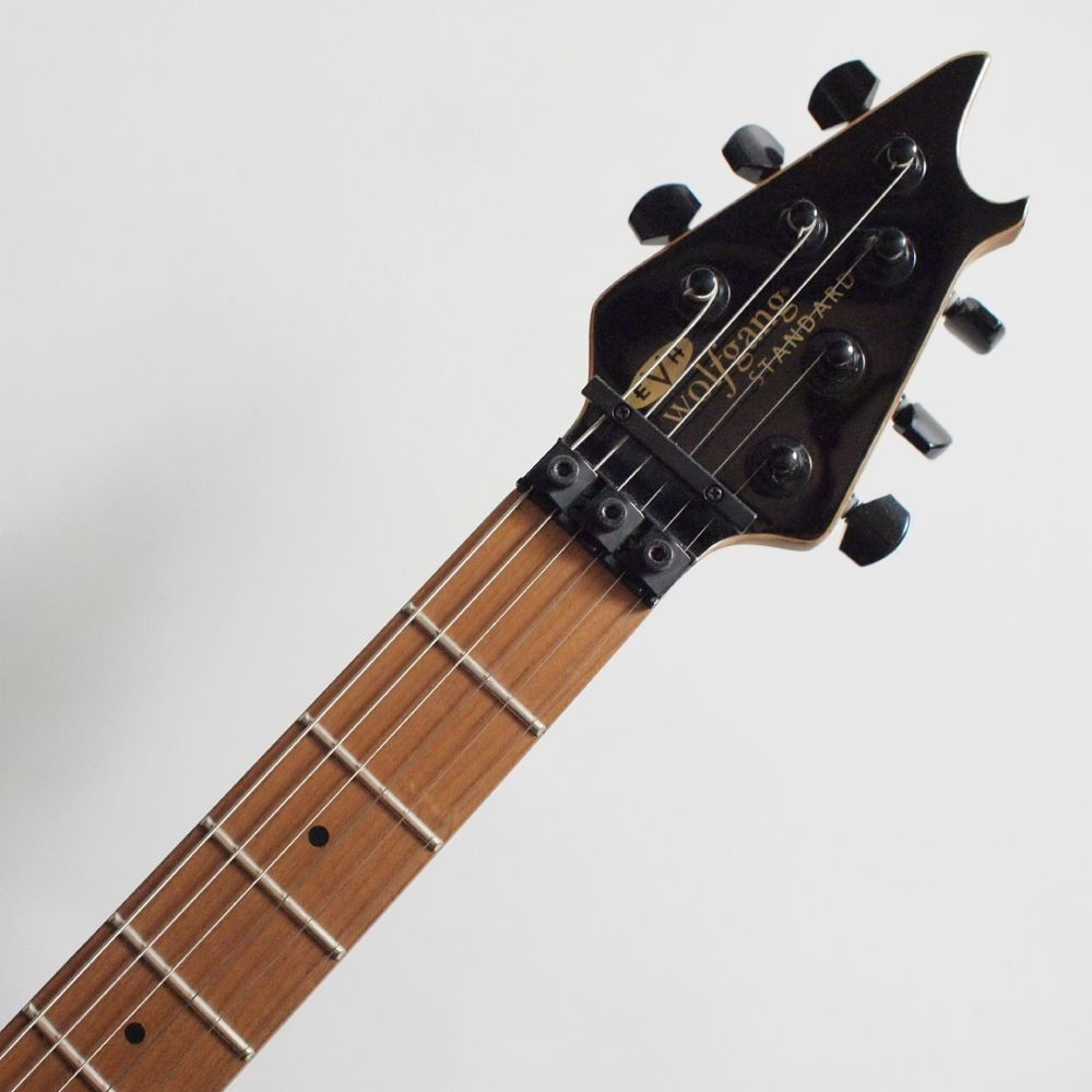 EVH Wolfgang WG Standard, Baked Maple Fingerboard, Granite Crystal ���쥭������