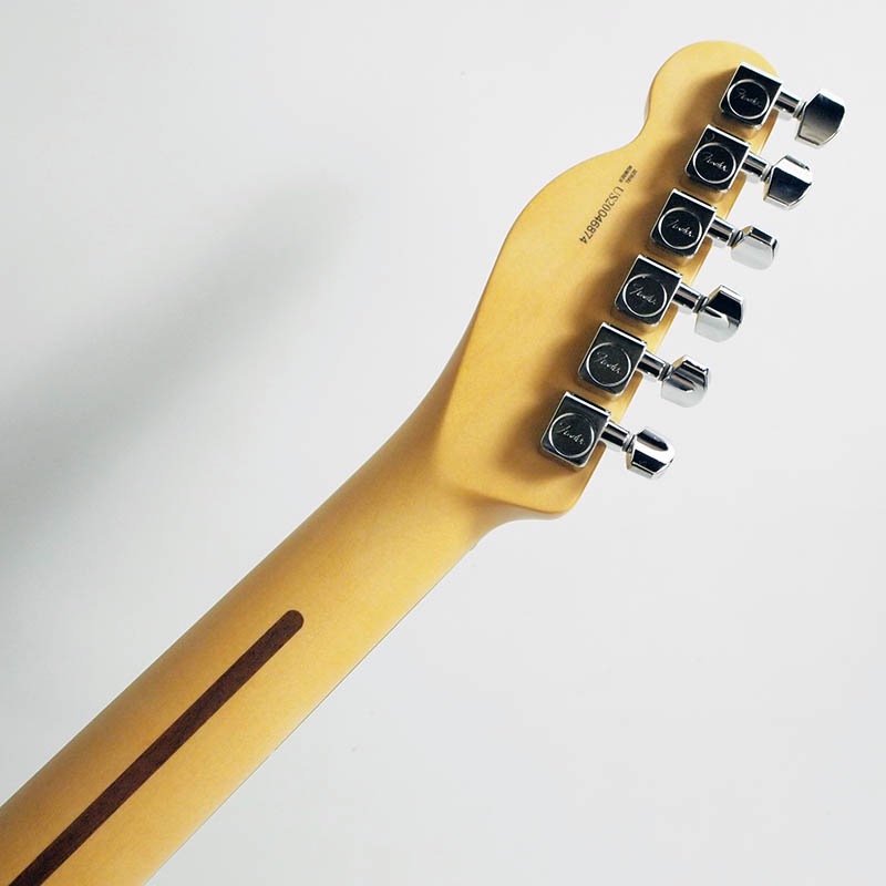 Fender American Professional II Telecaster, Rosewood Fingerboard, Dark NightҥեUSAƥ쥭㥹