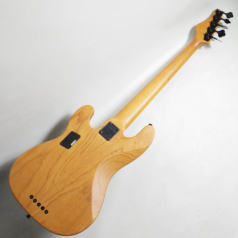 SCHECTER/MODEL-T SESSION 5(AD-MT-SS-5)5���١����ڥ�����������