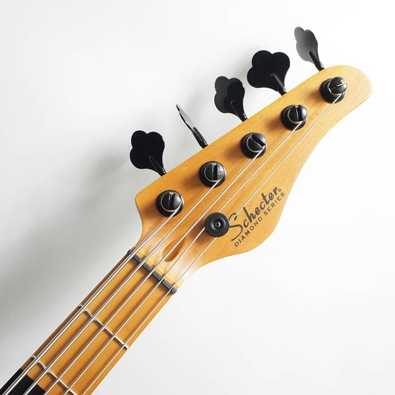 SCHECTER/MODEL-T SESSION 5(AD-MT-SS-5)5���١����ڥ�����������