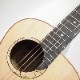 aNueNue aNN-M100 BirdGuitar �ߥ˥��������ƥ��å��������ҥ��̥��̥���