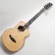 aNueNue aNN-M100 BirdGuitar �ߥ˥��������ƥ��å��������ҥ��̥��̥���