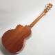 aNueNue aNN-M100 BirdGuitar �ߥ˥��������ƥ��å��������ҥ��̥��̥���