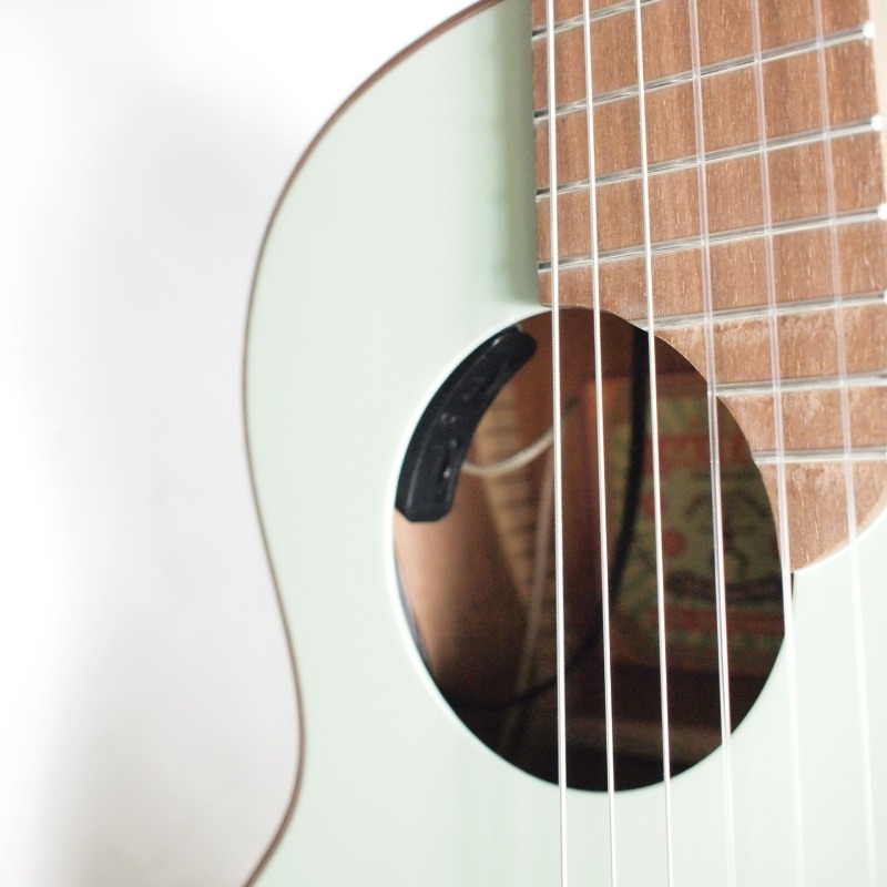 aNueNue Bird Guitar Series aNN-MCN10E FJE �ʥ����󸹥�ǥ�ҥ��̥��̥���