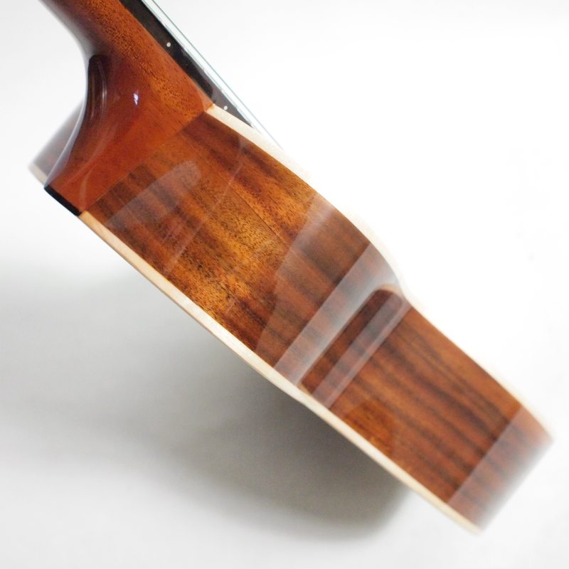 aNueNue aNN-AAA3 Taiwan Acacia III �ƥʡ��������ҥ��̥��̥���