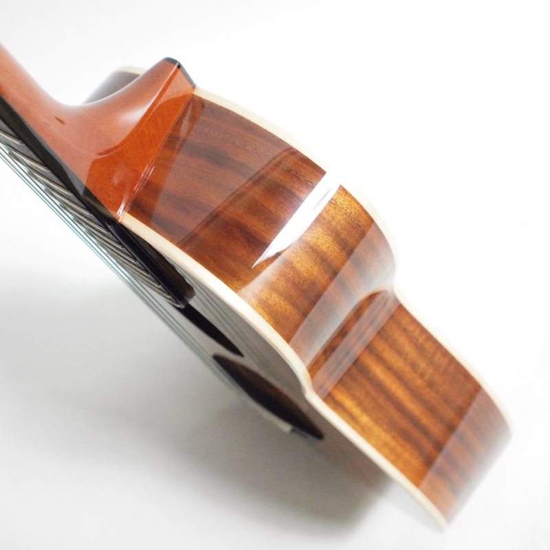 aNueNue aNN-AAA3 Taiwan Acacia III �ƥʡ��������ҥ��̥��̥���