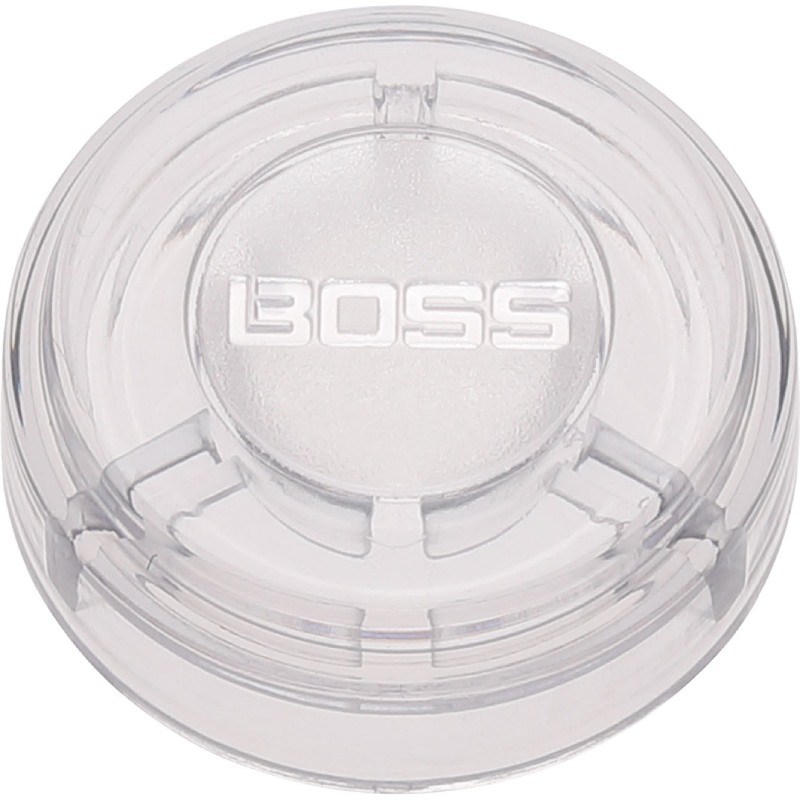 BOSS FSC-10 �եåȥ����å� ����å� 10���� �ܥ�