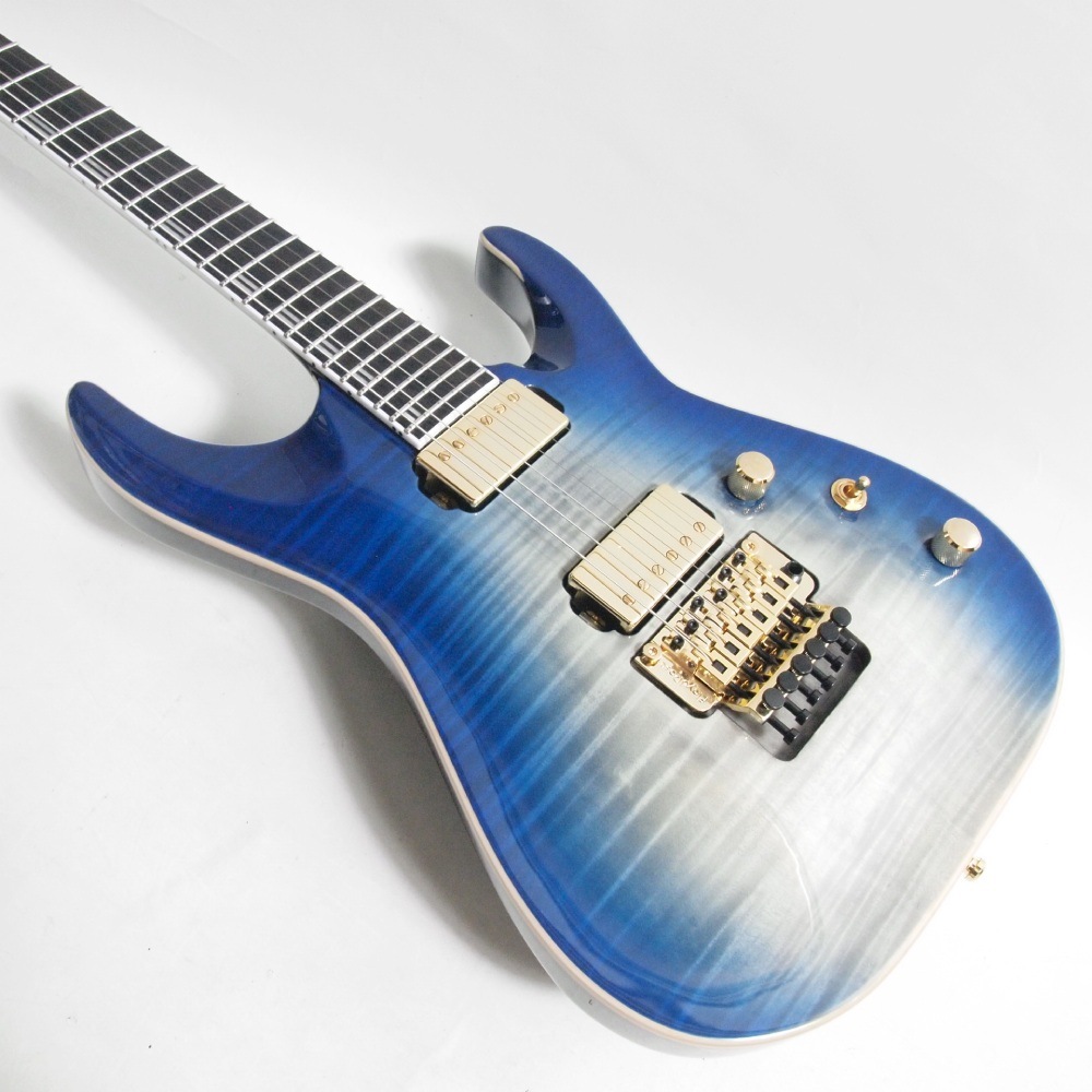 EDWARDS E-HORIZON-CTM 50TH Black Aqua Burst ���쥭������ 3.64kg ���ɥ��
