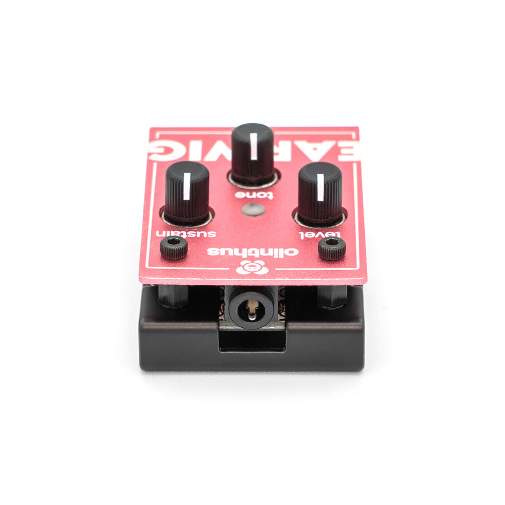 Olinthus EARWIG Ķե եҥ󥿥