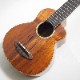 aNueNue aNN-US1K Koa bird  Solid2A Hawaiian Koa ���ץ�Υ������ҥ��̥��̥���