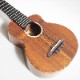 aNueNue aNN-US1K Koa bird  Solid2A Hawaiian Koa ���ץ�Υ������ҥ��̥��̥���