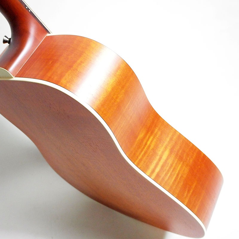 GUILD D-240E Flamed Mahogany Westerly Collection ���쥢���ҥ���ɡ�