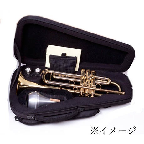 bags EFTR トランペット用ファイバーケース M-GREY（メタリックグレー 