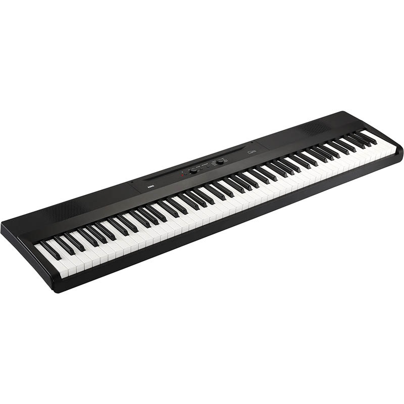 KORG L1SP Liano �ǥ�����ԥ��� X����������դ��ҥ��륰��